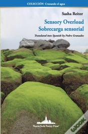 Capa do artigo Sensory Overload