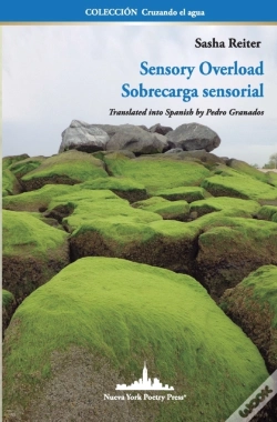 Capa do artigo Sensory Overload