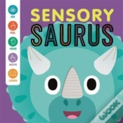 Capa do artigo Sensory 