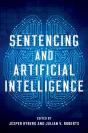 Sentencing And Artificial Intelligence - Preview