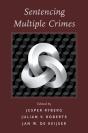 Sentencing Multiple Crimes - Preview