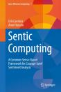 Sentic Computing - Preview