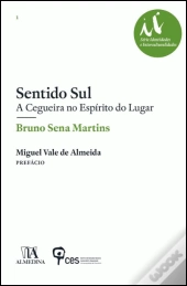 Sentido Sul: A Cegueira no Espírito do Lugar