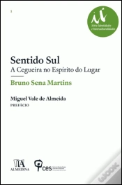Capa do artigo Sentido Sul: A Cegueira no Espírito do Lugar