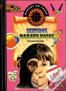 Sentidos Maravilhosos