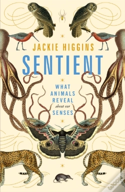 Capa do artigo Sentient