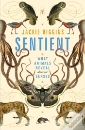 Capa do artigo Sentient