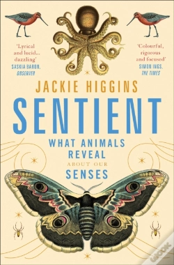Capa do artigo Sentient