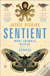 Capa do artigo Sentient