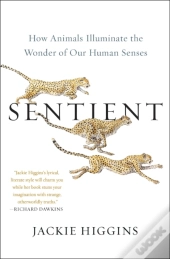 Sentient