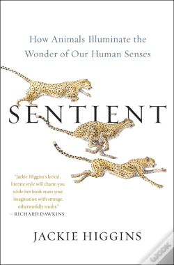 Capa do artigo Sentient