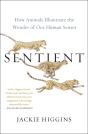 Sentient - Preview