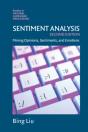 Sentiment Analysis - Preview