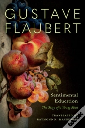 Capa do artigo Sentimental Education