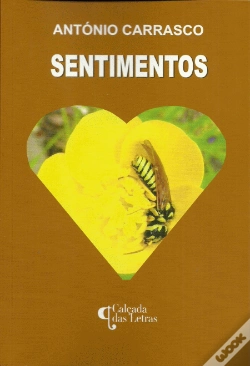 Capa do artigo Sentimentos