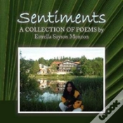 Capa do artigo Sentiments