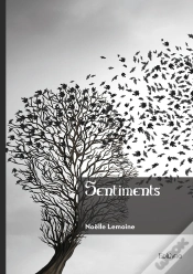Capa do artigo Sentiments