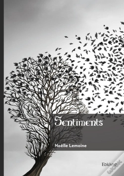 Capa do artigo Sentiments
