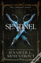 Capa do artigo Sentinel