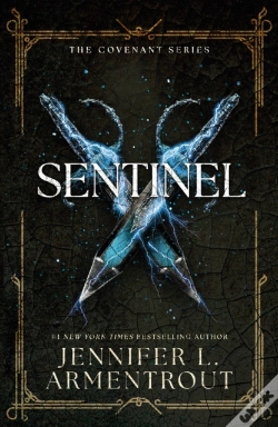 Capa do artigo Sentinel