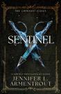 Sentinel - Preview