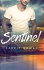 Sentinel - Preview