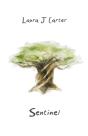 Sentinel - Preview