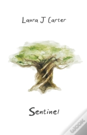 Capa do artigo Sentinel