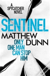 Capa do artigo Sentinel
