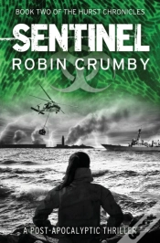 Capa do artigo Sentinel