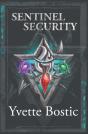 Sentinel Security - Preview