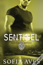 Capa do artigo Sentinel