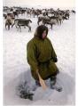 Sentinelles De L'Arctique - Preview