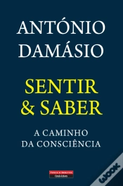 Capa do artigo Sentir & Saber