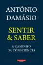 Sentir & Saber - Preview