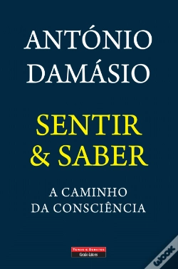 Capa do artigo Sentir & Saber