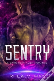 Capa do artigo Sentry