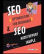 Seo Optimization For Beginners & Seo Audit Report Sampple - Preview