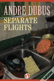Capa do artigo Separate Flights