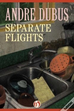 Capa do artigo Separate Flights