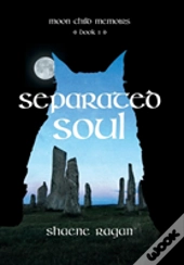 Separated Soul