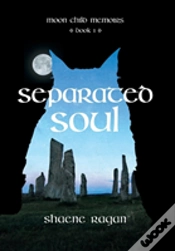 Capa do artigo Separated Soul