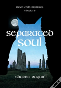 Capa do artigo Separated Soul