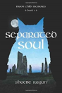 Separated Soul - Preview