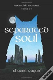 Capa do artigo Separated Soul