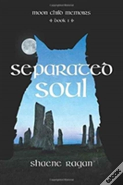 Capa do artigo Separated Soul