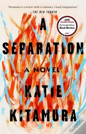 Capa do artigo Separation