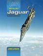 Sepecat Jaguar - Preview