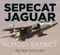 Sepecat Jaguar - Preview