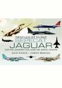 Sepecat Jaguar - Preview